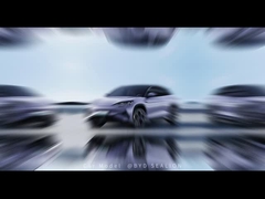 सीलियन07कार