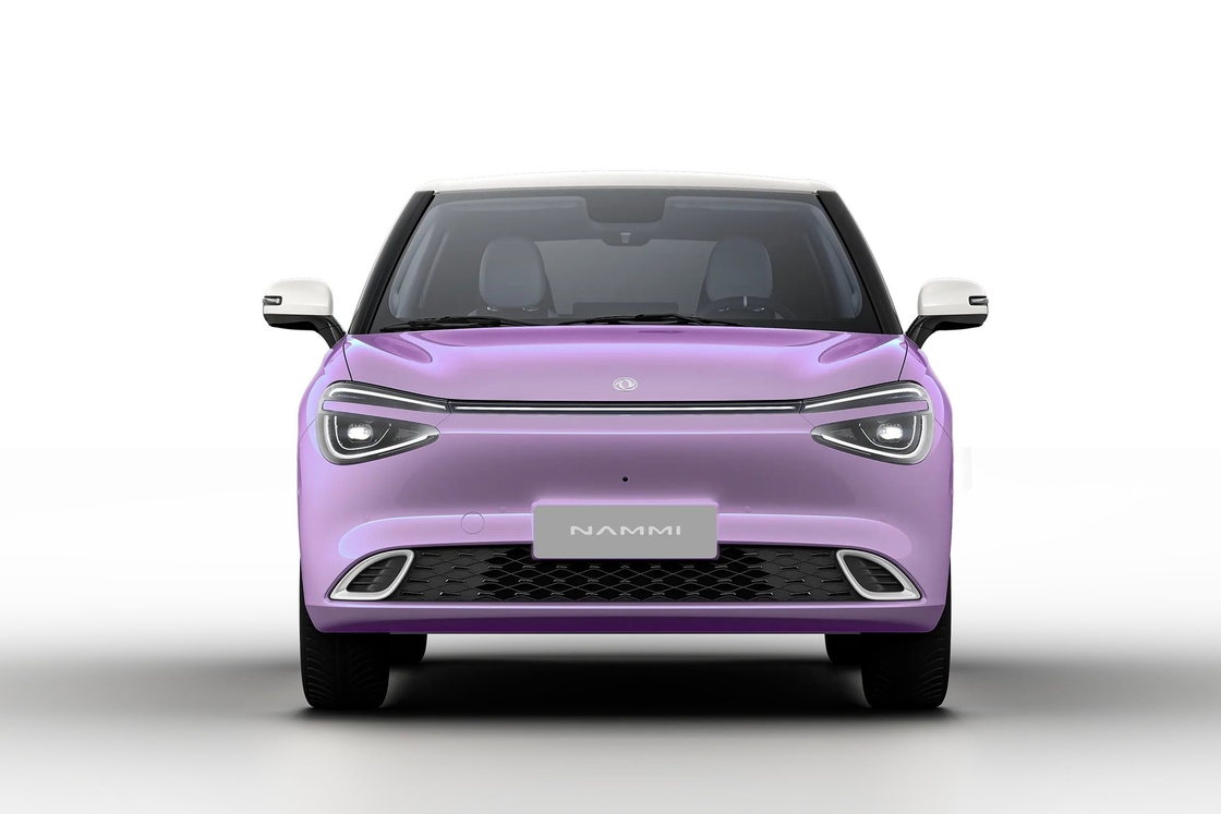 Dongfeng Nano 01 Mini electric cars 410km 430km nami nano box 01 2024 new chinese mini pure electric cars from china